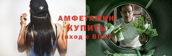 PSILOCYBIN Бородино