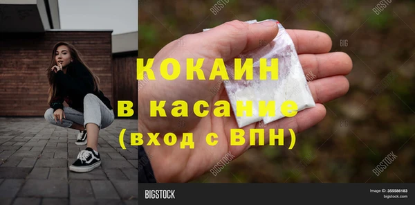 PSILOCYBIN Бородино