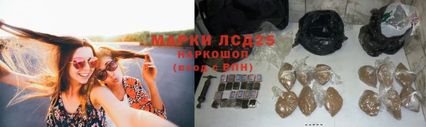 PSILOCYBIN Бородино
