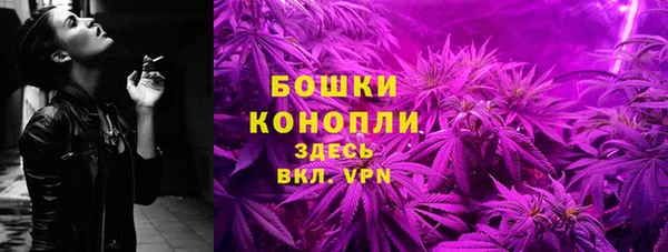 PSILOCYBIN Бородино