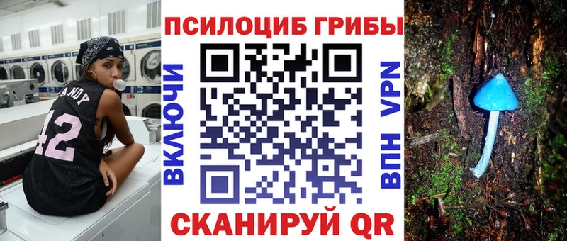 Псилоцибиновые грибы Magic Shrooms  цены наркотик  Якутск 